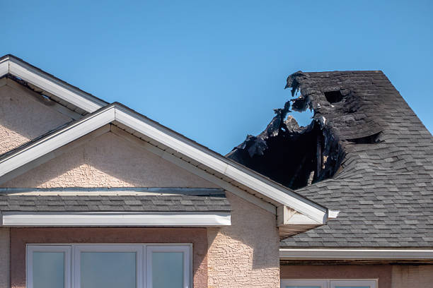 Top rated local Odor Removal specialists in Carnation, WA